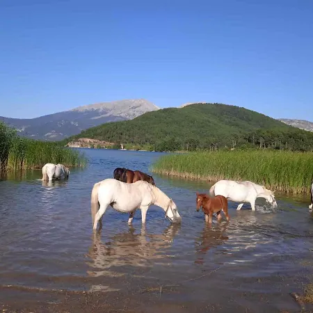 Peak Heaven Сasa de vacaciones *