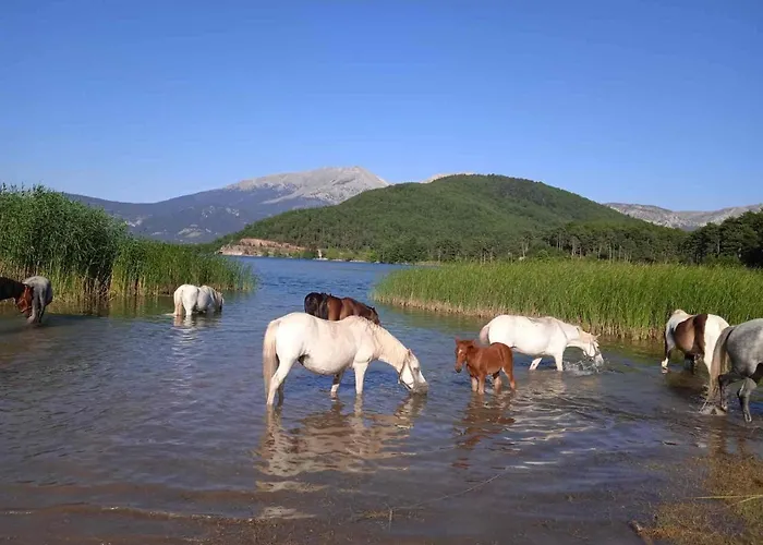 Peak Heaven Сasa de vacaciones *